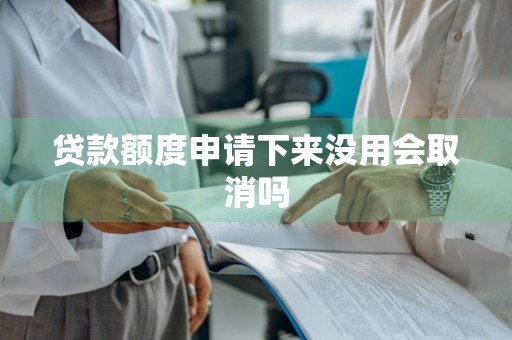贷款额度申请下来没用会取消吗