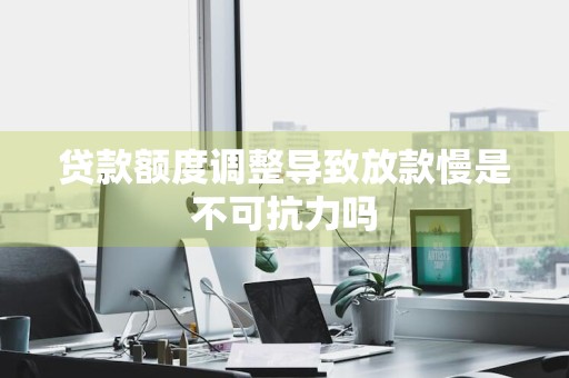 贷款额度调整导致放款慢是不可抗力吗