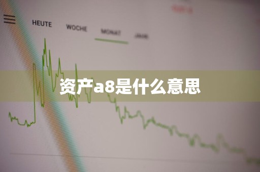 资产a8是什么意思