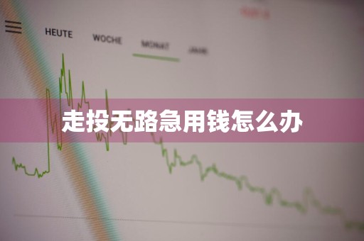 走投无路急用钱怎么办