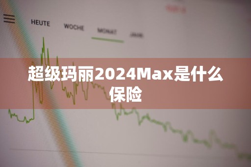 超级玛丽2024Max是什么保险