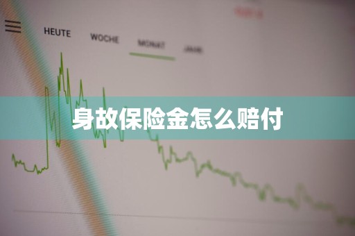 身故保险金怎么赔付