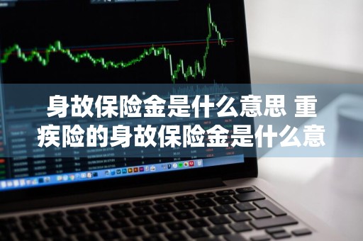 身故保险金是什么意思 重疾险的身故保险金是什么意思