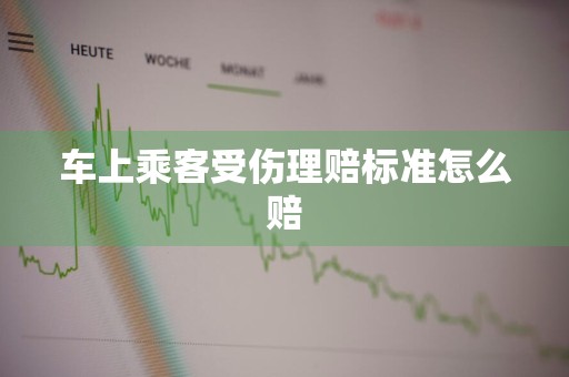 车上乘客受伤理赔标准怎么赔