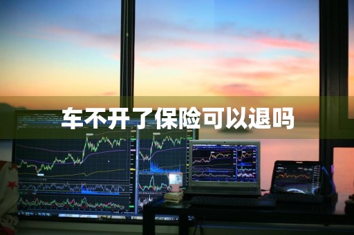 车不开了保险可以退吗