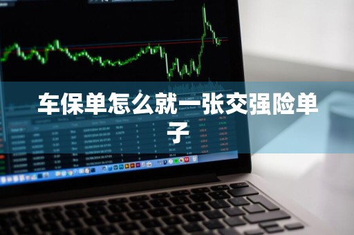 车保单怎么就一张交强险单子
