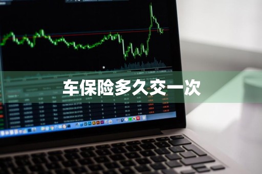 车保险多久交一次