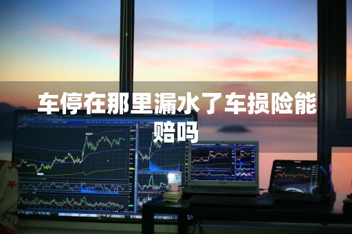 车停在那里漏水了车损险能赔吗