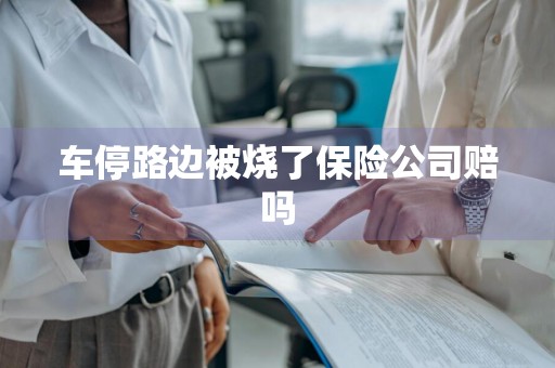 车停路边被烧了保险公司赔吗