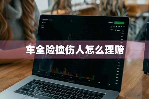车全险撞伤人怎么理赔