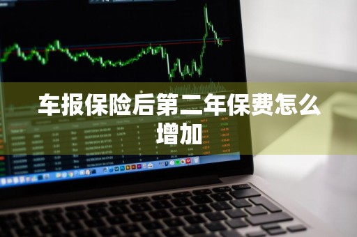 车报保险后第二年保费怎么增加