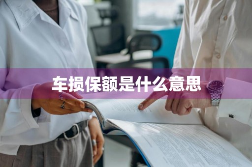车损保额是什么意思