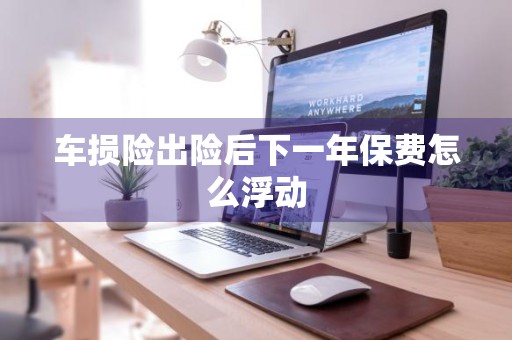 车损险出险后下一年保费怎么浮动