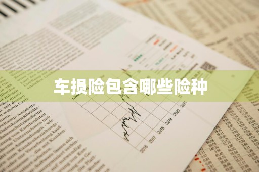 车损险包含哪些险种
