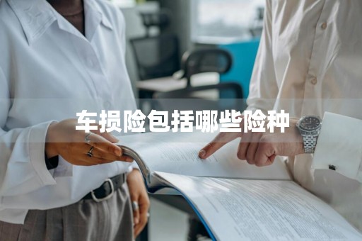 车损险包括哪些险种