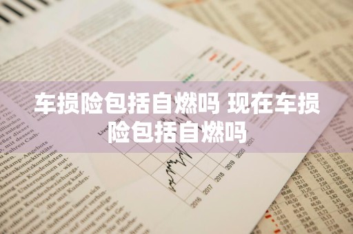 车损险包括自燃吗 现在车损险包括自燃吗