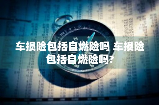 车损险包括自燃险吗 车损险包括自燃险吗?