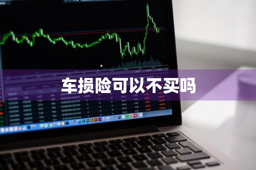 车损险可以不买吗