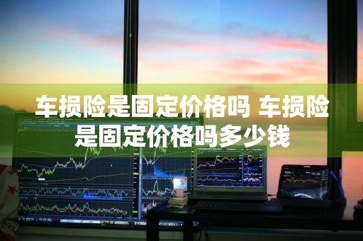 车损险是固定价格吗 车损险是固定价格吗多少钱