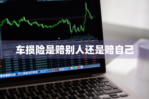 车损险是赔别人还是赔自己