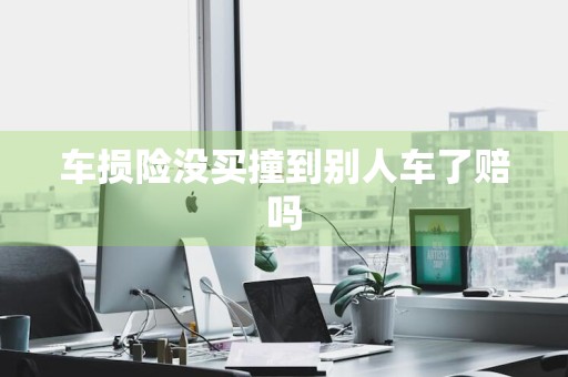 车损险没买撞到别人车了赔吗