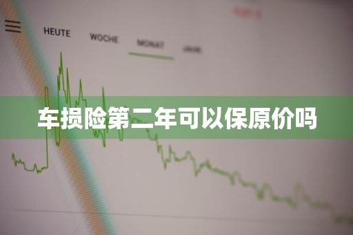 车损险第二年可以保原价吗