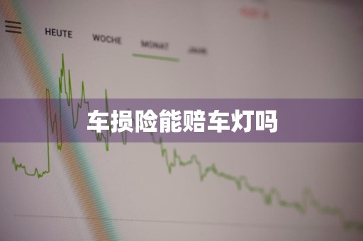 车损险能赔车灯吗