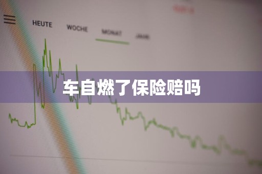车自燃了保险赔吗
