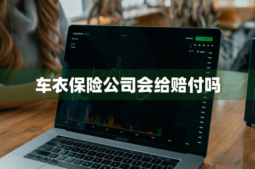 车衣保险公司会给赔付吗