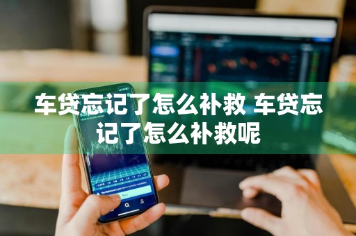 车贷忘记了怎么补救 车贷忘记了怎么补救呢