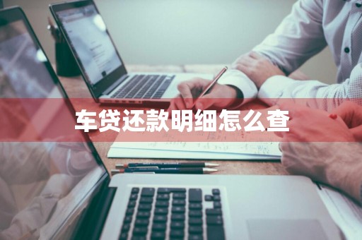 车贷还款明细怎么查