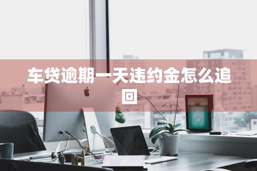 车贷逾期一天违约金怎么追回