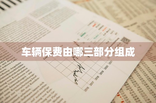 车辆保费由哪三部分组成