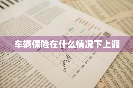 车辆保险在什么情况下上调