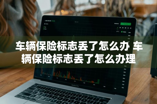 车辆保险标志丢了怎么办 车辆保险标志丢了怎么办理