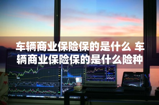 车辆商业保险保的是什么 车辆商业保险保的是什么险种