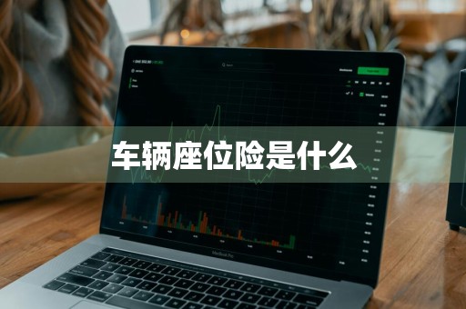 车辆座位险是什么