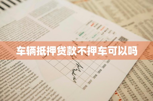 车辆抵押贷款不押车可以吗