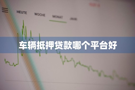 车辆抵押贷款哪个平台好