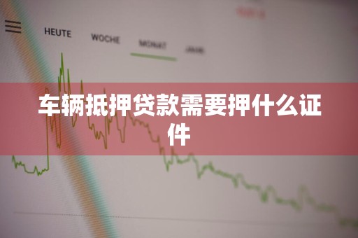 车辆抵押贷款需要押什么证件