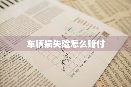车辆损失险怎么赔付