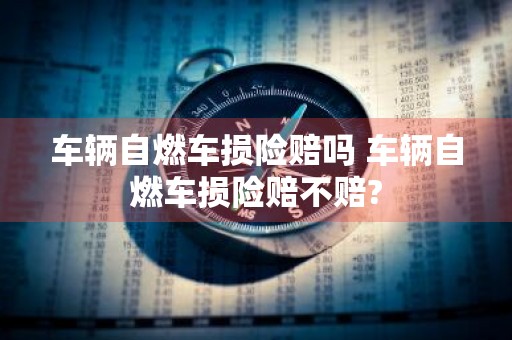 车辆自燃车损险赔吗 车辆自燃车损险赔不赔?
