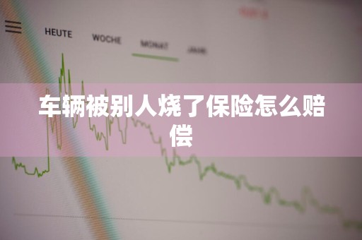 车辆被别人烧了保险怎么赔偿
