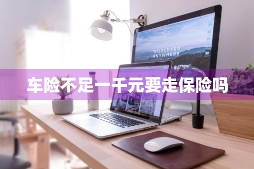 车险不足一千元要走保险吗