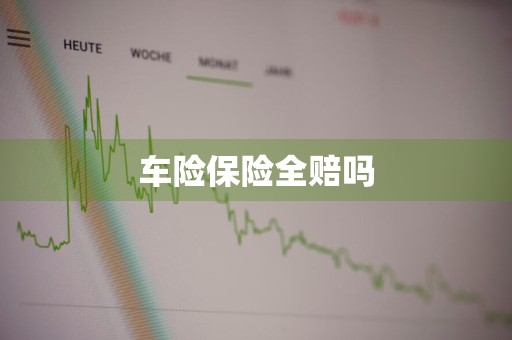 车险保险全赔吗