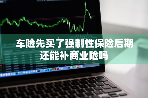 车险先买了强制性保险后期还能补商业险吗