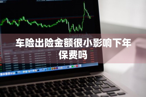 车险出险金额很小影响下年保费吗