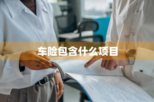 车险包含什么项目