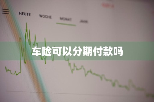 车险可以分期付款吗
