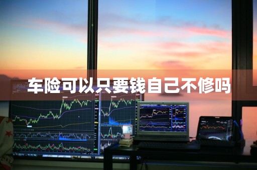 车险可以只要钱自己不修吗
